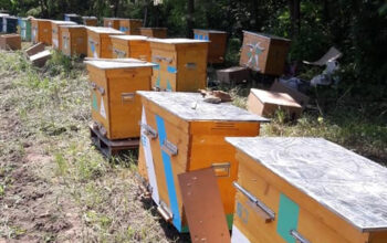 Ищу партнера, инвестора