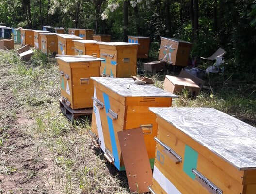 Ищу партнера, инвестора