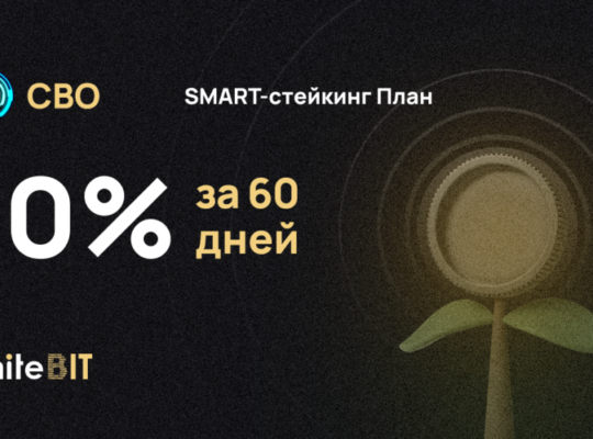 💥 У нас есть план! 💥