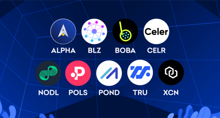 Торги для ALPHA, BLZ, BOBA и других стартуют 26 августа — внесите депозит прямо сейчас!