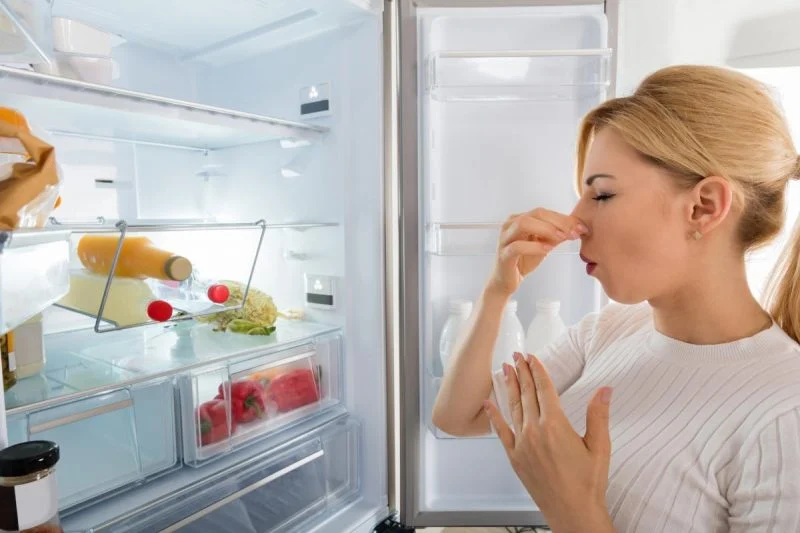 Если пропал свет: сколько времени могут лежать продукты в холодильнике - Продукты в холодильнике