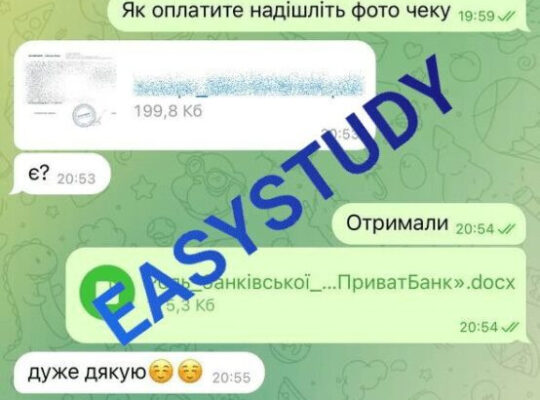 Эссе на заказ